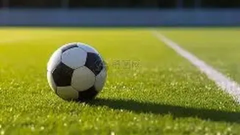 排列五2026060期七爷精准推荐 质合分析路数